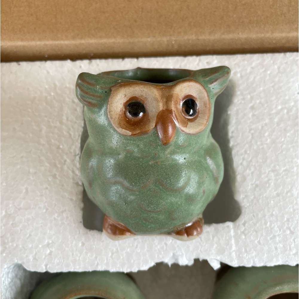Owl succulent pots - set of 5